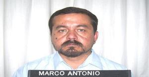 Marcomax1960 57 years old I am from Villarrica/Araucanía, Seeking Dating Friendship with Woman