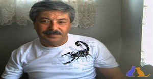 Bacalhauteimoso 50 years old I am from Coimbra/Coimbra, Seeking Dating Friendship with Woman